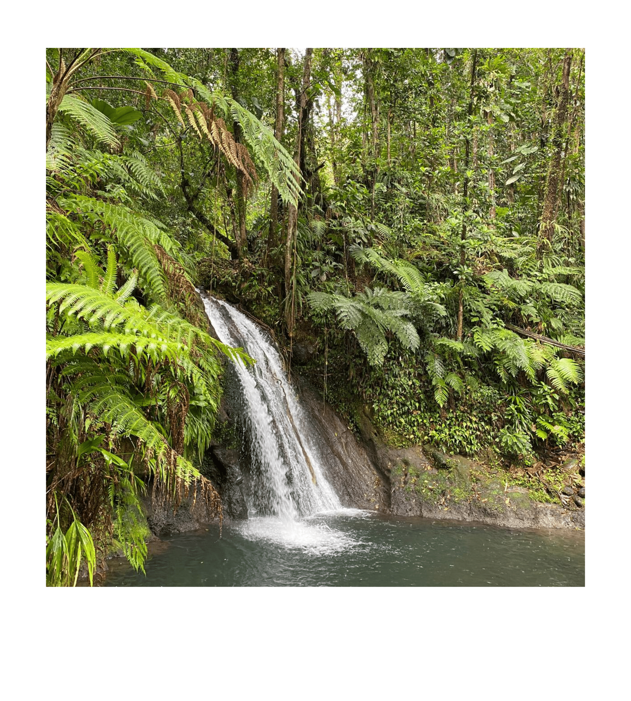 Cascade sauvage - voyage en Guadeloupe