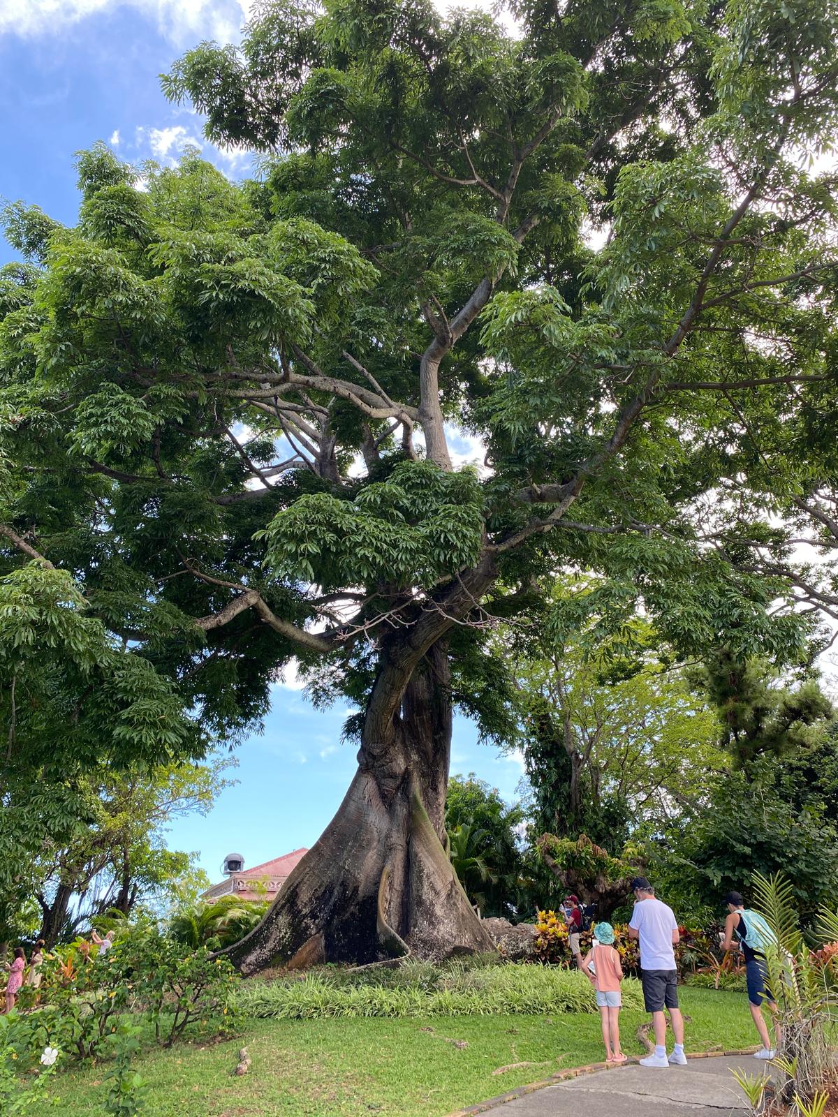 Jardin Deshaies en Guadeloupe, idéal pour un voyage en famille