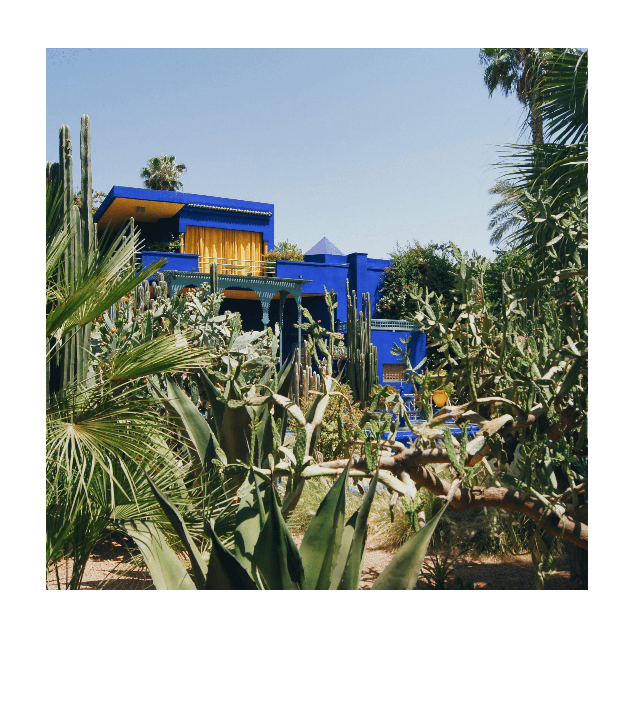 Jardins Majorelle - Voyage à Marrakech au Maroc