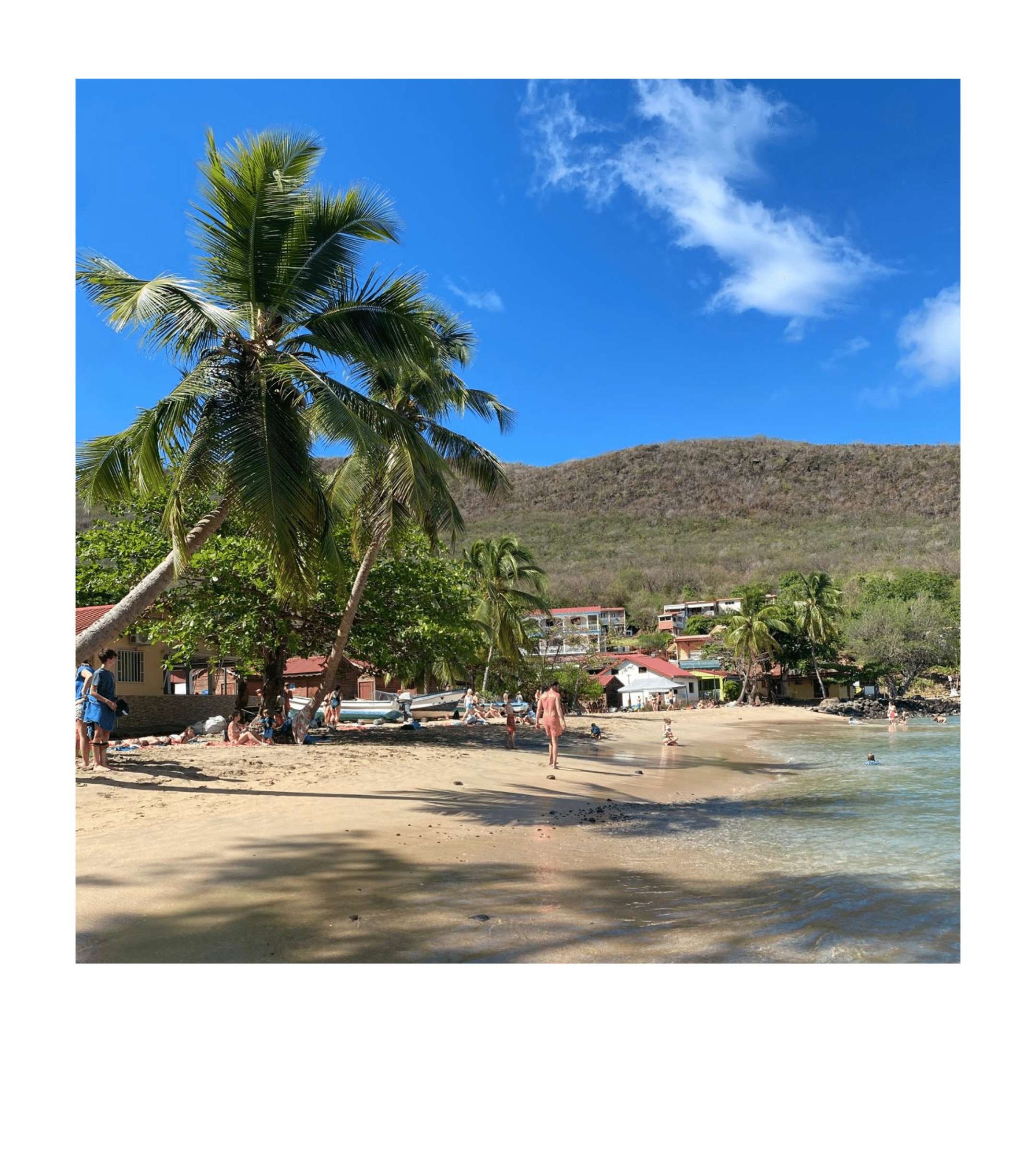 Plage et cocotiers - voyage Martinique