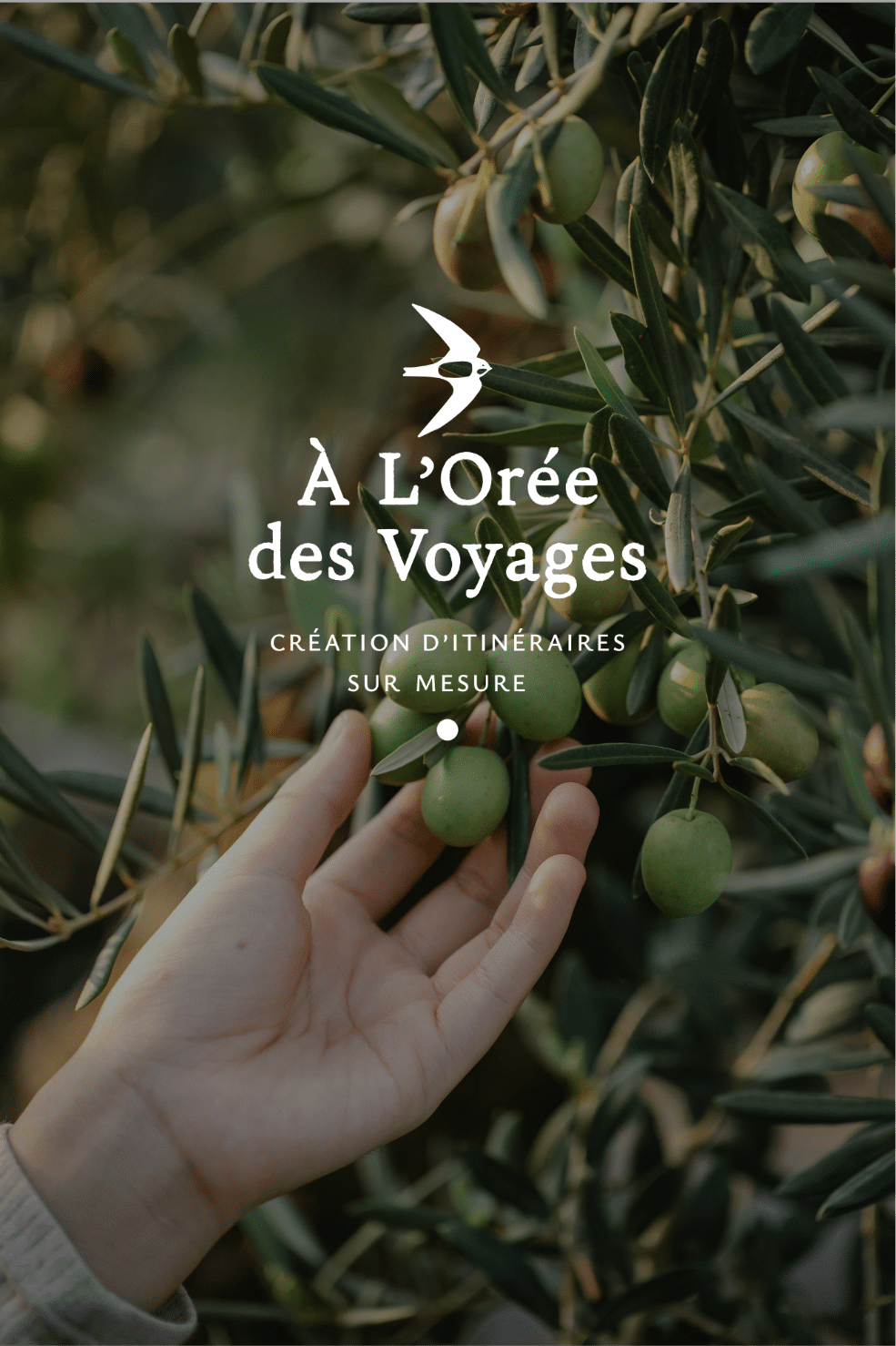 Logo À L'Orée des Voyages sur une photo d'olivier