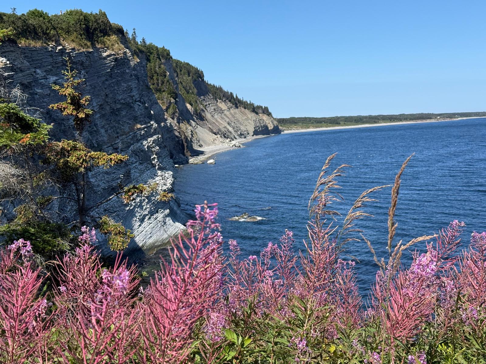 Cap-Bon-Ami au Parc Forillon (Gaspésie)