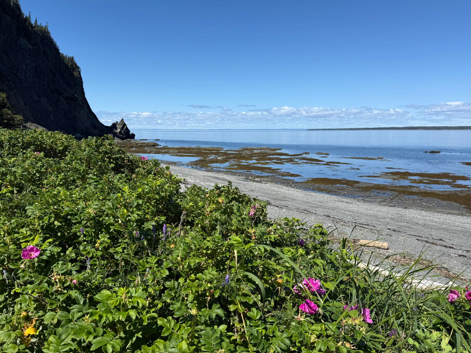 Cap-à-l'orignal dans le Parc du Bic