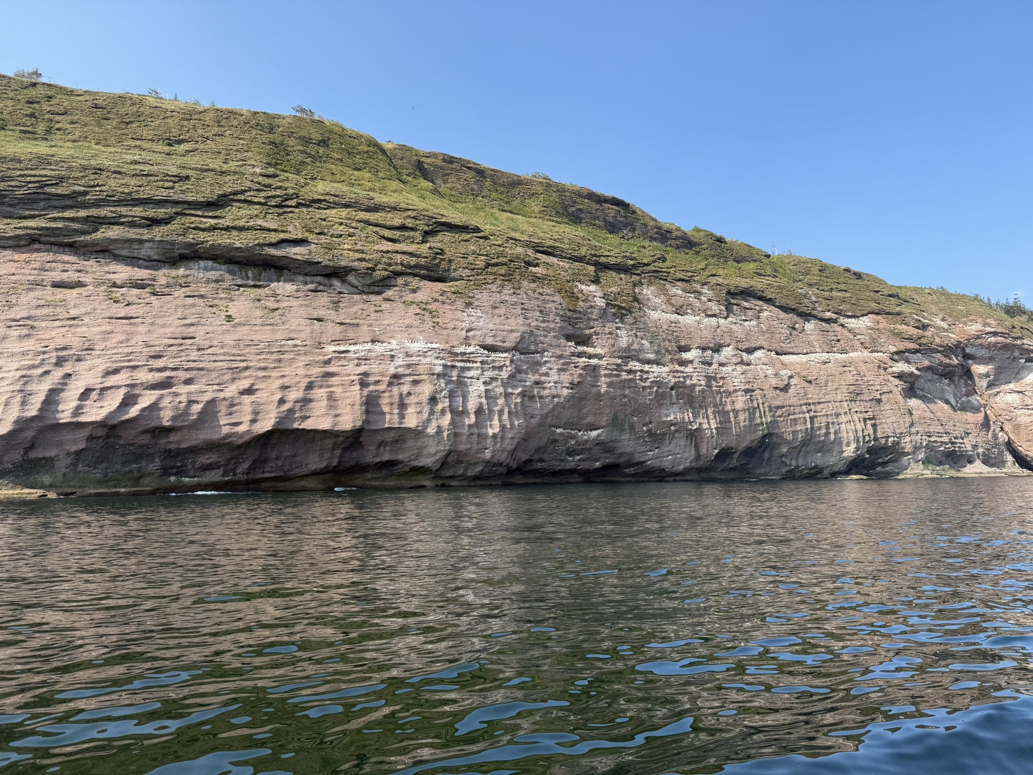L'île de Bonaventure et sa colonie de fous de Bassan