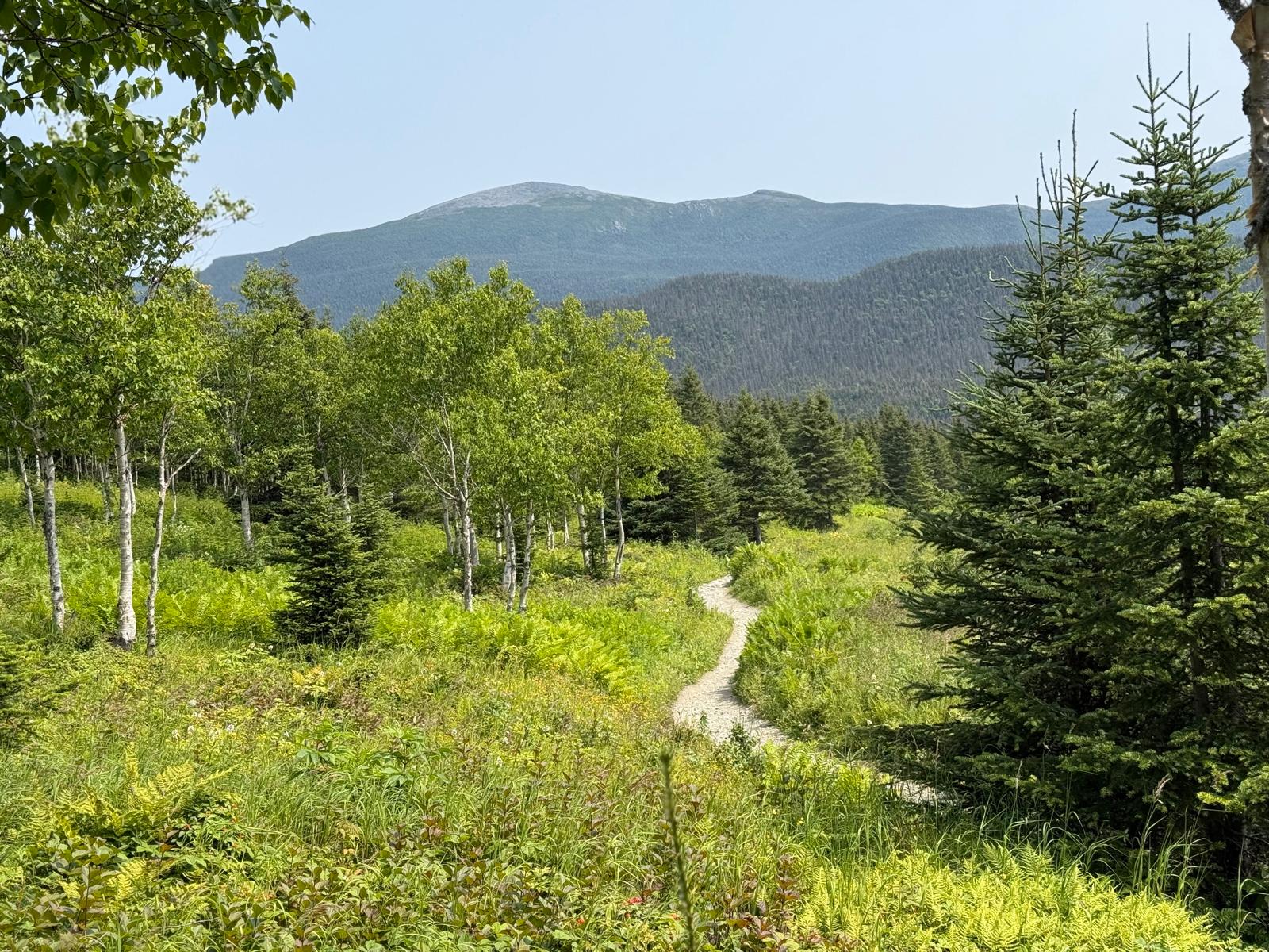 Parc de la Gaspésie, sentier Mont Ernest Laforce