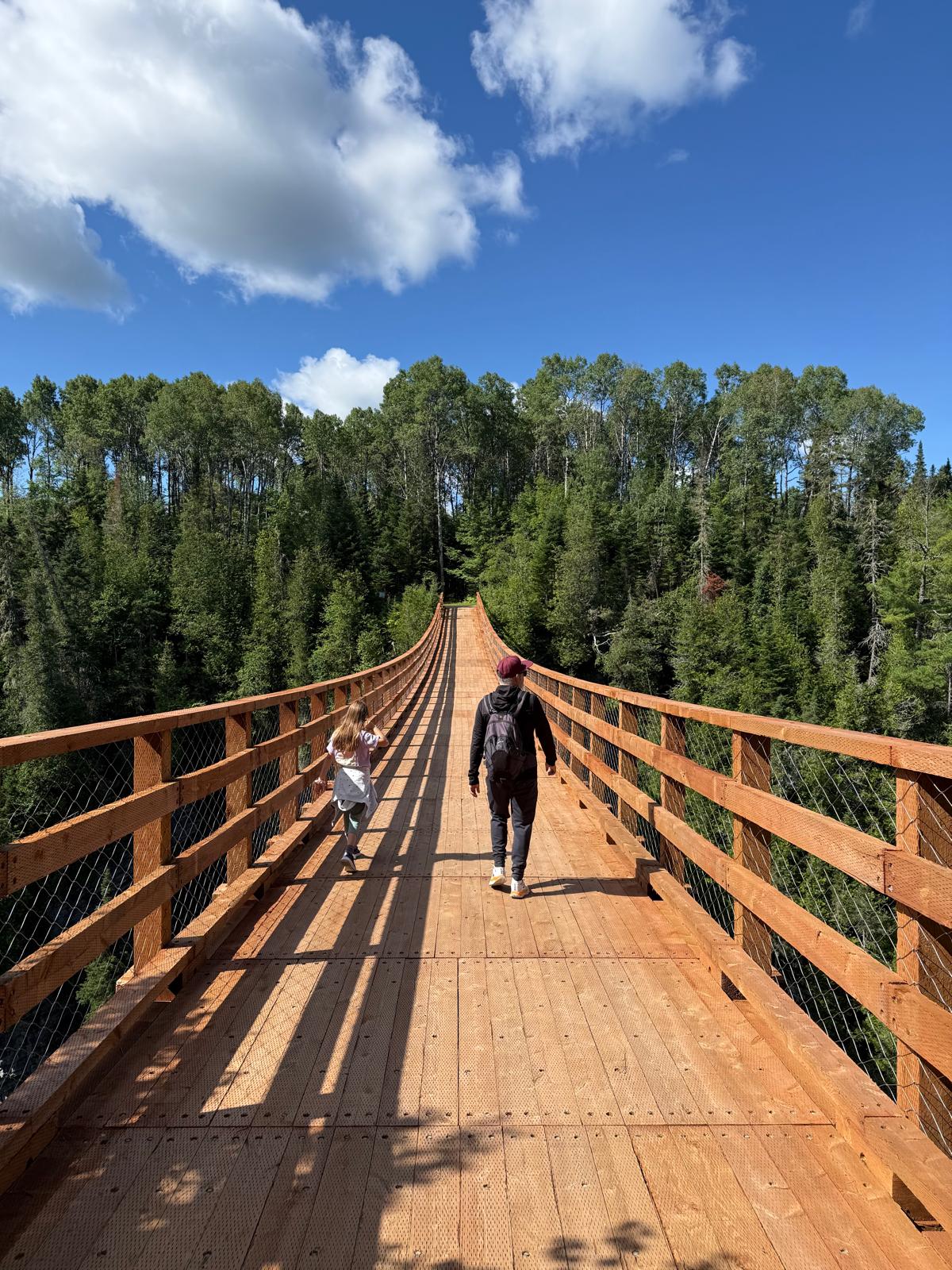 Passerelle suspendue au Canyon Porte de l'Enfer