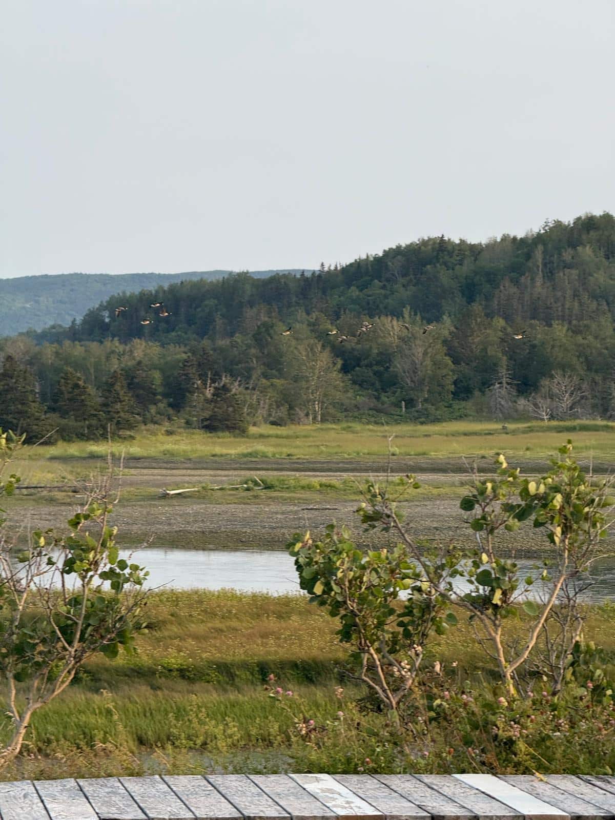 La rivière Cap-Chat en Gaspésie