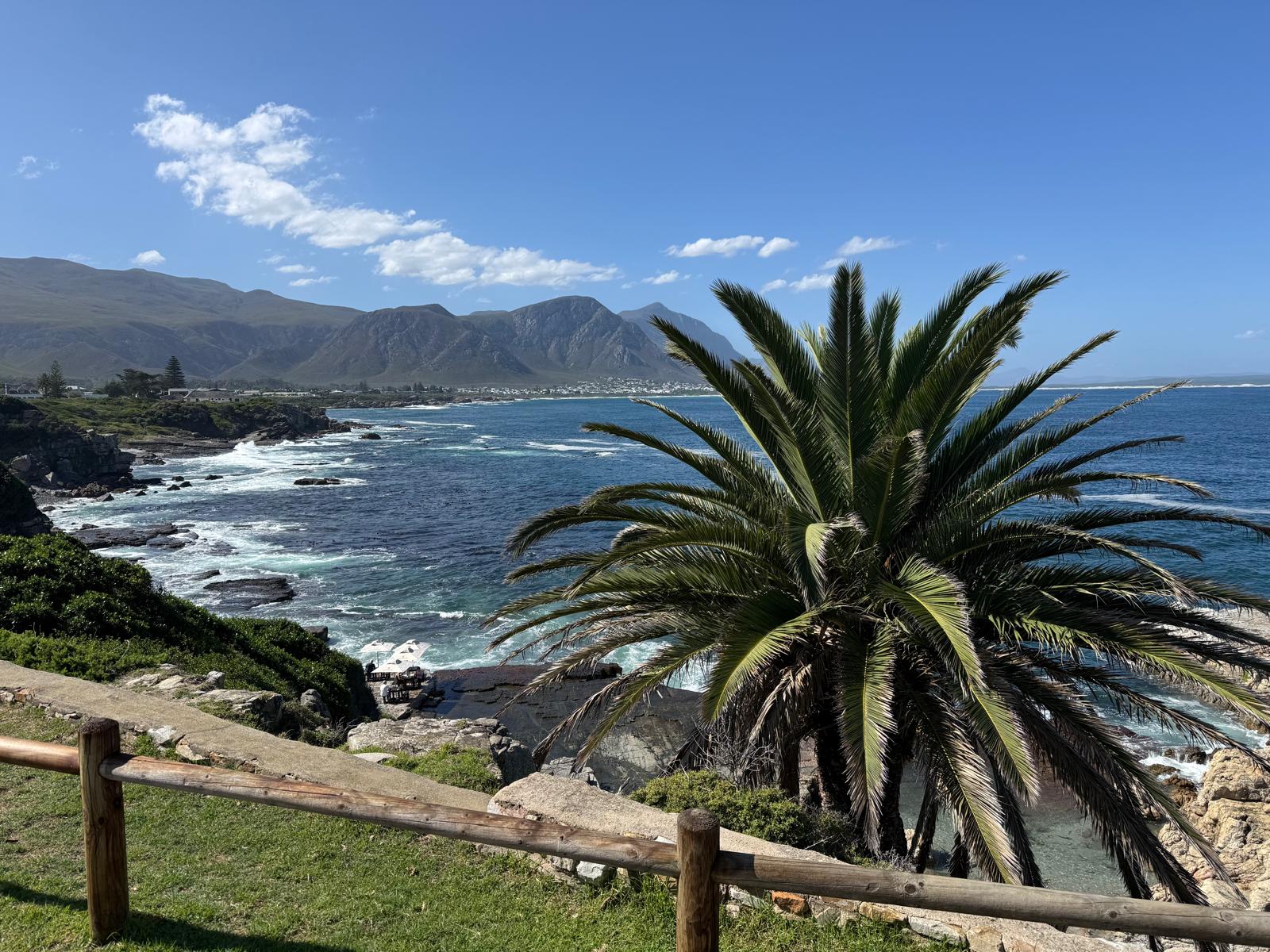 Cap-à-l'orignal dans le Parc du Bic